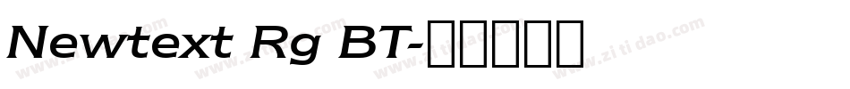 Newtext Rg BT字体转换